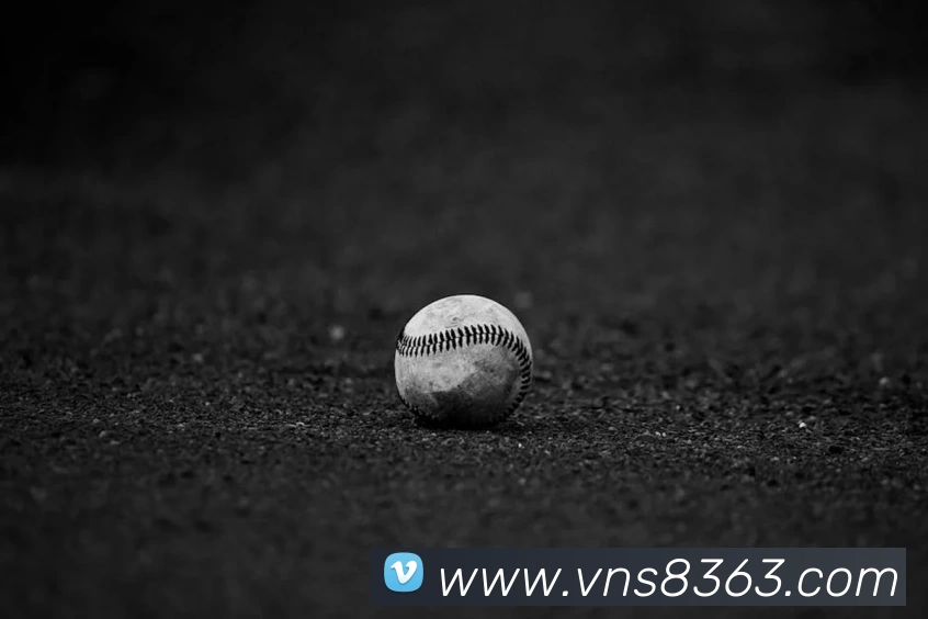 澳门威尼斯人网页平台生态图