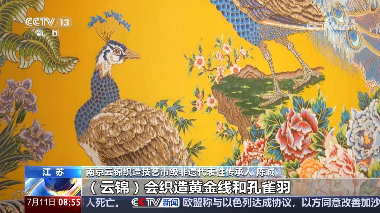 代风雅揭开沉睡700多年的时尚密码冰球突破豪华版从传统丝织工艺中的宋(图6)